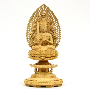 ؒ蕧@ѐAy󑠕Fz@Vwp@g䍿2.5@26cm@x{@@NN@ДN