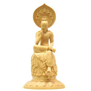 ؒ蕧@y{`F摜zi`@ӗ֊ωj@O؁@20cm