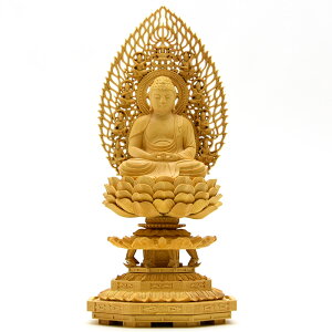 ؒ蕧@yɔ@z@ѐA@Vwp@2.0@22cm@@h@V@