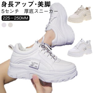  Xj[J[  ₷  y ꂢ  fB[X  x[W EH[LOV[Y אg 5Z` gAbv _bhXj[J[ Cq[Xj[J[ Xj[J