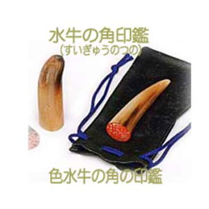 VRFp(낷イ)Ӂ^CG[z|