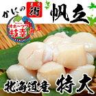 �ۤ�����������̳�ƻ���ۡ��ĥ����ˡֻɿȡס�������