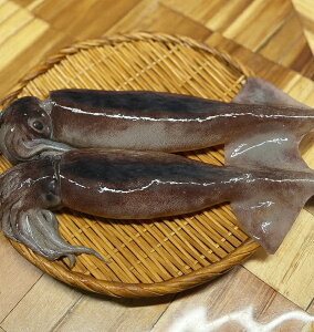 kC}KY@^CJ@2itj/gEgl}Ⓚ/hgESĂEϕt