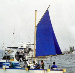 DHƃXpJ[N-2900pZ[tF2900mm@tbgF2900mm@wbhF2150mm