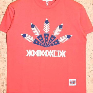 ANIMALIA �m�A�j�}���A�n T�V���cAN16S-TE03 FIVE FEATHERS
