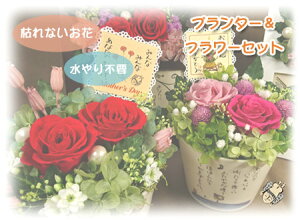 v^[t[Zbg()Ă͂܂vU[uht[yԁEAWEMtgELOEaEEސEjEJXjEVzjE|G@z