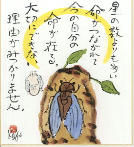 ひろはまかずとし直筆色紙『星の数よりも』夏/セミ(色紙のみ)