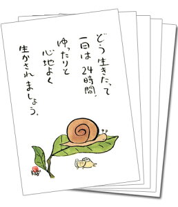 y5gz100~IJ[J[h131iǂāj