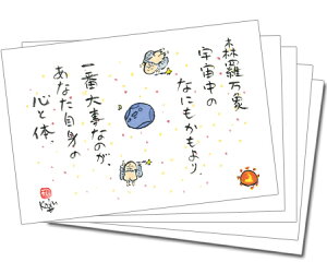 y5gz100~IJ[J[h133iXہj