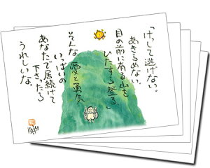 y5gz100~IJ[J[h141(ēȂj