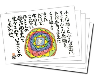 y5gz100~IJ[J[h142(ȋFƁj