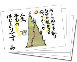 y5gz100~IJ[J[h148i̎コj