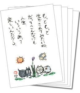 y5gz100~IJ[J[h101iƂƐāj