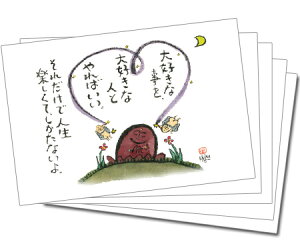 y5gz100~IJ[J[h114(DȎj