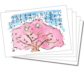 【5枚組】で100円お得っ！カラーカード63(桜）