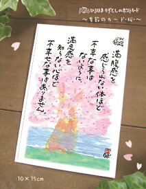 桜のポストカード(満腹感)
