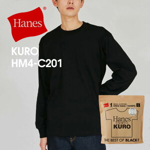 y10OFFz wCY Hanes Kuro OX[uTVc HM4]C201  eB[ ubN TVc T  7.0oz 100 N[lbN ^OX Ki