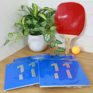 020811 BN^X(VICTAS) 싅 o[ V11 Extra GLXg \tgo[ 