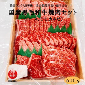 Yјa ēZbg 600g A4`A5 [X  Jr  Ε o[xL[ BBQ  j Mtg }g X Y 