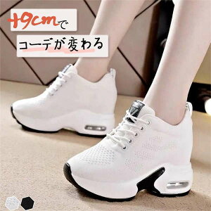 Xj[J[ fB[X Xj[J[ [Jbg nCJbgXj[J[ Cq[   C y ₷ ɂ