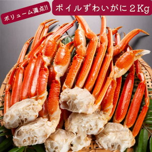 @r{CYCKjϔ@2KgyzΕ@蕨