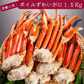 特大　太脚ボイルズワイガニ化粧箱1.5Kg【送料無料】化粧箱　お歳暮　贈り物