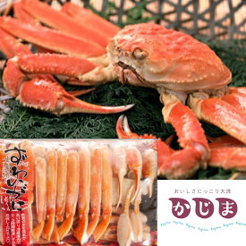 食べやすい！カット済【ズワイガニ】ボイル800g　かに専門店かじま　自社加工　簡易包装