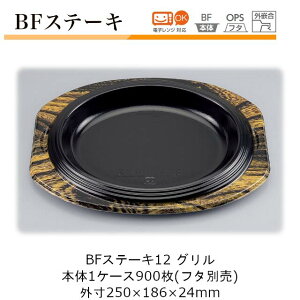 Xe[LM^eCNAEge P[X̔ 900 {̂̂ 250×186×24mm 420cc CP V[s[ BFXe[L12 O  dqWΉ ϔM105 fM ۉ ϖ ϊ Ȏ Ɩp e