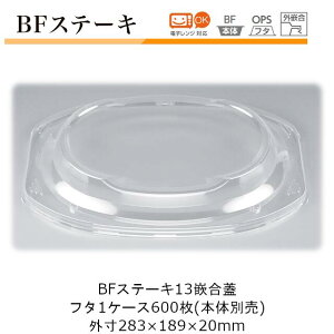 Xe[LM^eCNAEge P[X̔ 600 t^̂ 283×189×20mm CP V[s[ BFXe[L13ƍW Oƍ  {̓dqWΉ fOPS Ɩp eCNAEg no[O 