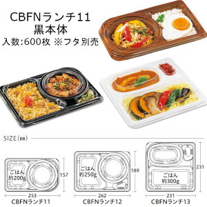 ٓe CBFN`11  {̂̂ P[X̔ 600 253×157×39mm  dqWΉ ϔM105 fM ۉ ϖ ϊ Ȏ CP V[s[ Ɩp eCNAEg fo[ ubN 
