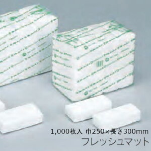 tbV}bg 250×300 P[X̔ 1000   H sDz q hbv Ɩp 0132101