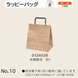  bs[obO No.10 NnBH P[X̔ 400  TCY 220mm s140mm 240mm  H Ɩp  Օi  q   c  R Ђ 肳 