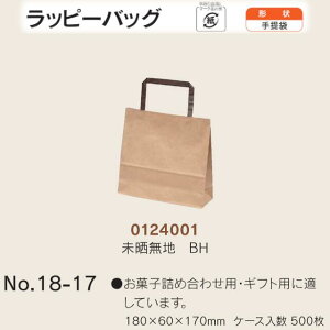  bs[obO No.18-17 NnBH P[X̔ 500  TCY 180mm s60mm 170mm  H Ɩp  Օi  q   c  R Ђ 肳 