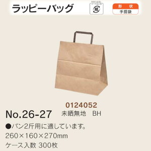  bs[obO No.26-27 NnBH P[X̔ 300  TCY 260mm s160mm 270mm  H Ɩp  Օi  q   c  R Ђ 肳 