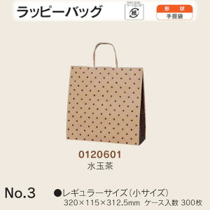  bs[obO No.3 ʒ P[X̔ 300  TCY 320mm s115mm 312.5mm  H Ɩp  Օi  q   c  R Ђ 肳 yY