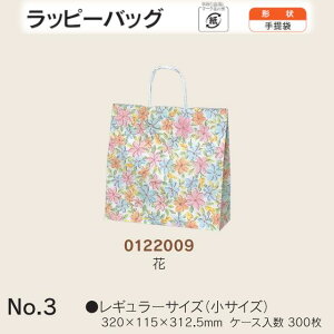  bs[obO No.3  P[X̔ 300  TCY 320mm s115mm 312.5mm  H Ɩp  Օi  q   c  R Ђ 肳 yY 