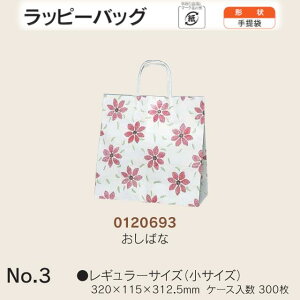  bs[obO No.3 ΂ P[X̔ 300  TCY 320mm s115mm 312.5mm  H Ɩp  Օi  q   c  R Ђ 肳 y