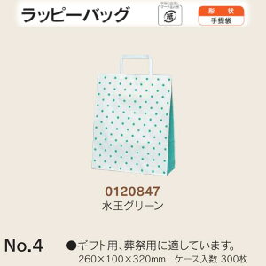  bs[obO No.4 ʃO[ P[X̔ 300  TCY 260mm s100mm 320mm  H Ɩp  Օi  q   c  R Ђ 肳 