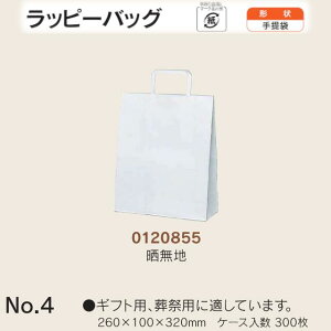  bs[obO No.4 Nn P[X̔ 300  TCY 260mm s100mm 320mm  H Ɩp  Օi  q   c  R Ђ 肳 yY 