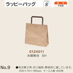  bs[obO No.9 NnBH P[X̔ 400  TCY 200mm s70mm 185mm  H Ɩp  Օi  q   c  R Ђ 肳 y