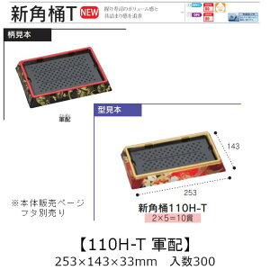 ie Vp 110H-T Rz {̂̂ P[X̔ 300 253×143×33mm   H HIPS ϔM80 Ɩp eCNAEg ĝ M g[  CN  Hie 0753041 Г090001010