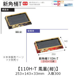 ie Vp 110H-T P() {̂̂ P[X̔ 300 253×143×33mm   H HIPS ϔM80 Ɩp eCNAEg ĝ M g[  CN  Hie 0752444 Г090001