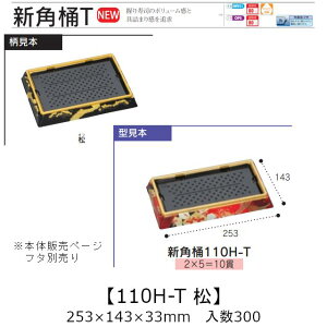 ie Vp 110H-T  {̂̂ P[X̔ 300 253×143×33mm   H HIPS ϔM80 Ɩp eCNAEg ĝ M g[  CN  Hie 0752940 Г090001010