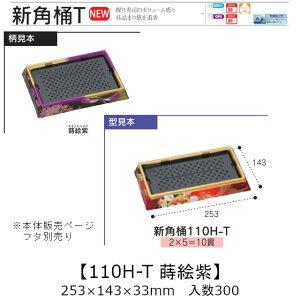 ie Vp 110H-T G {̂̂ P[X̔ 300 253×143×33mm   H HIPS ϔM80 Ɩp eCNAEg ĝ M g[  CN  Hie 0753149 Г09000101