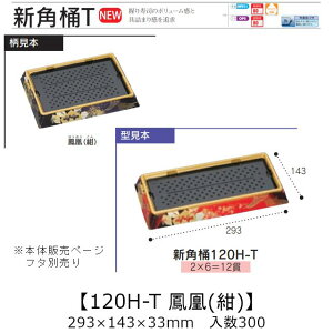 ie Vp 120H-T P() {̂̂ P[X̔ 300 293×143×33mm   H HIPS ϔM80 Ɩp eCNAEg ĝ M g[  CN  Hie 0752452 Г090001