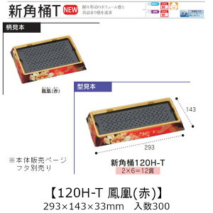ie Vp 120H-T P() {̂̂ P[X̔ 300 293×143×33mm   H HIPS ϔM80 Ɩp eCNAEg ĝ M g[  CN  Hie 0752355 Г090001