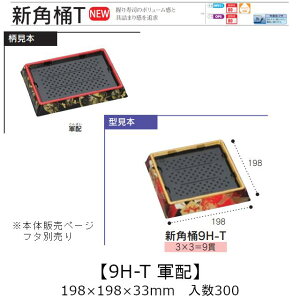 ie Vp 9H-T Rz {̂̂ P[X̔ 300 198×198×33mm   H HIPS ϔM80 Ɩp eCNAEg ĝ M g[  CN  Hie 0753009 Г090001010