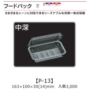 ėp̎e t[hpbN P-13 [ P[X̔ 3000 163×100×30(14)mm   H OPS ϔM80 Ɩp eCNAEg  oU[ w Cxg َqe Hie 0530212 