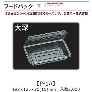 ėp̎e t[hpbN P-1A [ P[X̔ 2000 193×125×30(15)mm   H OPS ϔM80 Ɩp eCNAEg  oU[ w Cxg َqe Hie 0530018 