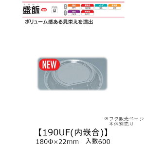 WΉe 190UF ƍW t^̂ P[X̔ 600 180×22mm   H OPS ϔM80 {̓dqWOK Ɩp eCNAEg Hie 0747076